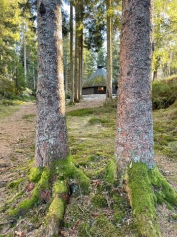 Hyttelaven Pa Furuholmen Sarpsborg Kültér fotó