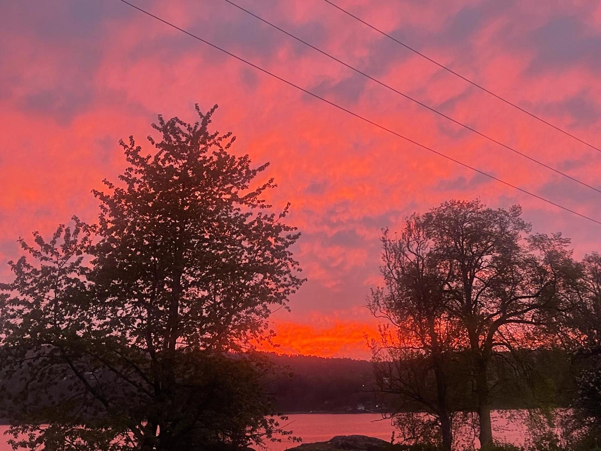 Hyttelaven Pa Furuholmen Sarpsborg Kültér fotó